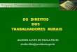 Projeto Cidadania Rural 1 OS DIREITOS DOS TRABALHADORES RURAIS ALCIDES ALVES DE PAULA FILHO alcides.filho@previdencia.gov.br