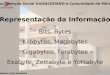 Professor Luiz Gustavo Projeto: Inserção Social UniSALESIANO e Comunidade de Marcon - Itália Bits, Bytes Kilobytes, Megabytes Gigabytes, Terabytes Exabyte,