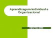 Aprendizagem Individual e Organizacional CEAP Nov 2008