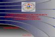 O CORPO DE BOMBEIROS MILITAR DE MATO GROSSO NA PREVENÇÃO E COMBATE AOS INCÊNDIOS FLORESTAIS PALESTRA: LBA Maio 2003