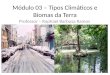 Módulo 03 – Tipos Climáticos e Biomas da Terra Professor – Raphael Barbosa Ramos