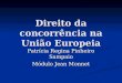 Direito da concorrência na União Europeia Patrícia Regina Pinheiro Sampaio Módulo Jean Monnet