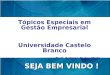 SEJA BEM VINDO ! Tópicos Especiais em Gestão Empresarial Universidade Castelo Branco Prof. Antonio Carlos Mello