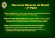 Recursos Minerais do Brasil – 1ª Parte – 1ª Parte UD II - ASSUNTO: 2.1. Os recursos naturais e as atividades econômicas – (setor mineral e os grandes projetos