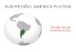 SUB-REGIÃO: AMÉRICA PLATINA Porção Sul da América do Sul