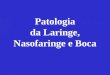 Patologia da Laringe, Nasofaringe e Boca. Câncer em geral e o câncer de boca 11 o No mundo OMS. 2004