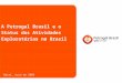 A Petrogal Brasil e o Status das Atividades Exploratórias no Brasil Natal, maio de 2009