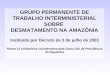 GRUPO PERMANENTE DE TRABALHO INTERMINISTERIAL SOBRE DESMATAMENTO NA AMAZÔNIA Instituído por Decreto de 3 de julho de 2003 Reúne 13 ministérios coordenados