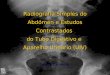 Radiografia Simples do Abdómen e Estudos Contrastados do Tubo Digestivo e Aparelho Urinário (UIV) Teresa Carvalho