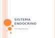 SISTEMA ENDÓCRINO Prof. Regis Romero SISTEMA ENDÓCRINO O sistema endócrino é formado pelo conjunto de glândulas endócrinas,as quais são responsáveis