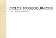 CICLOS BIOGEOQUÍMICOS Prof. Regis Romero. Ciclos biogeoquímicos Ciclo em escala global, de elementos ou substâncias químicas que necessariamente contam