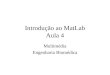 Introdução ao MatLab Aula 4 Multimédia Engenharia Biomédica