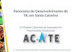 5ª CONFERÊNCIA BRASILEIRA DE ARRANJOS PRODUTIVOS LOCAIS Panorama do Desenvolvimento de TIC em Santa Catarina O Modelo Catarinense baseado em Propriedade