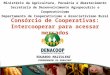 Consórcio de Cooperativas: Intercooperar para acessar mercados Ministério da Agricultura, Pecuária e Abastecimento Secretaria de Desenvolvimento Agropecuário