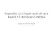 Sugestões para Organização de uma Equipe de Eficiência Energética Luiz Antônio Righi
