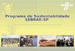 Programa de Sustentabilidade SEBRAE-SP. Objetivo Elaborar,adequar e implementar produtos para inserir o conceito de Sustentabilidade na cultura organizacional