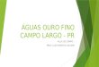 ÁGUAS OURO FINO CAMPO LARGO - PR AULA DE CAMPO – PROF. LUÍS ROBERTO HALAMA