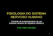 1 FISIOLOGIA DO SISTEMA NERVOSO HUMANO Controle do funcionamento do ser humano através de impulsos elétricos Prof. Adair Carvalho