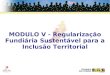 MODULO V - Regularização Fundiária Sustentável para a Inclusão Territorial
