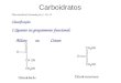 Carboidratos Macromolécula formada por C, H e O. Classificação: 1.Quanto ao grupamento funcional: Aldose ou Cetose