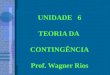 UNIDADE 6 TEORIA DA CONTINGÊNCIA Prof. Wagner Rios
