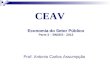 Economia do Setor Público Parte 3 – BNDES - 2013 CEAV Prof: Antonio Carlos Assumpção