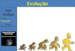 Aula de Biologia Tema: Evolução Paulo paulobhz@hotmail.comEvolução