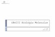 UBAIII Biologia Molecular 1º Ano 2013/2014. 14/Nov/2013MJC-T08 Sumário: Capítulo VII. O código genético Propriedades do código genético Capítulo VIII