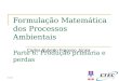 11:11 Formulação Matemática dos Processos Ambientais Parte 6: Produção primária e perdas Carlos Ruberto Fragoso Júnior
