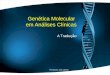 Genética Molecular em Análises Clínicas A Tradução Prof.Doutor José Cabeda