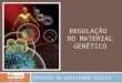 REGULAÇÃO DO MATERIAL GENÉTICO Controlo da actividade celular Prof. Ana Rita Rainho