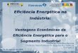 Eficiência Energética na Indústria: Vantagens Econômicas da Eficiência Energética para o Segmento Industrial Fernando Pinto Dias Perrone Chefe de Departamento