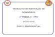 TRABALHO DE INSTRUÇÃO DE BOMBEIROS 1º MODULO - APH LIÇÃO 10 C PARTO EMERGENCIAL
