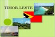T IMOR -L ESTE REPÚBLIKA DEMOKRÁTIKA TIMÓR LOROSA'E REPÚBLICA DEMOCRÁTICA DE TIMOR-LESTE DEMOCRATIC REPUBLIC OF TIMOR-LESTE BEM VINDOS A TIMOR-LESTE!