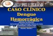 CASO CLÍNICO Dengue Hemorrágica Escola Superior de Ciências da Saúde Internato em Pediatria Apresentação: Diogo Henrique Silveira do Couto Coordenação: