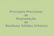 Principais Processos de Degradação de Resíduos Sólidos Urbanos