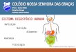 Definição Nutrição Alimentos Anatomia Fisiologia sistema-digestivo,2 SISTEMA DIGESTÓRIO HUMANO