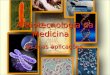 A Biotecnologia na Medicina As suas aplicações O que já se faz?
