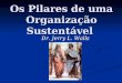 Os Pilares de uma Organização Sustentável Dr. Jerry L. Walls