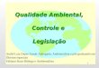 1 Qualidade Ambiental, Controle e Legislação André Luiz Depes Zanoti-Advogado, Ambientalista e pós-graduando em Direitos especiais Fabiano Staut-Biólogo
