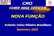 CRO CHIEF RISK OFFICER NOVA FUNÇÃO Antonio Celso Ribeiro Brasiliano Setembro 2002