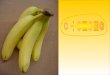 Não se trata de uma brincadeira de mau gosto, mas antes, dos resultados apurados nos últimos três anos sobre um estudo intensivo sobre a banana, levada