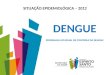 SITUAÇÃO EPIDEMIOLÓGICA – 2012 DENGUE PROGRAMA ESTADUAL DE CONTROLE DA DENGUE