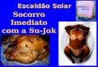 Escaldão Solar Socorro Imediato com a Su-Jok. A Su-Jok, é uma Terapêutica completa, e utiliza os mais variados processos, que contribuem para o bem estar