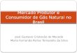 José Gustavo Cristovão de Macedo Maria Fernanda Parise Tomazella da Silva Mercado Produtor e Consumidor de Gás Natural no Brasil