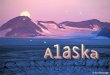 O Parque Nacional de Kenai é o menor dos 8 parques nacionais do Alasca, mas em compensação é um dos mais bonitos e visitados. Está localizado na península