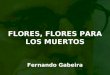 FLORES, FLORES PARA LOS MUERTOS Fernando Gabeira