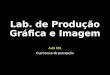 Lab. de Produção Gráfica e Imagem Aula 001 O processo de percepção