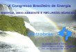 Eletrobrás SILVIA HELENA M. PIRES Departamento de Meio Ambiente Rio, 28 de outubro de 2004 X Congresso Brasileiro de Energia ENERGIA, MEIO AMBIENTE E RECURSOS