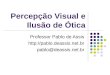 Percepção Visual e Ilusão de Ótica Professor Pablo de Assis  pablo@deassis.net.br